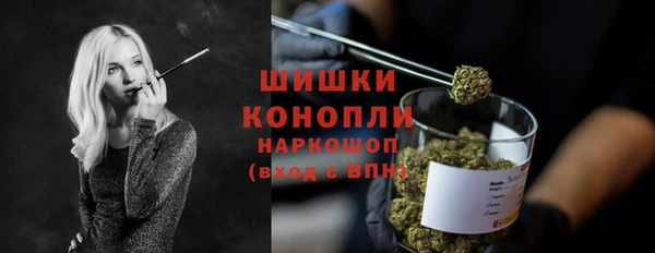 СК Осинники