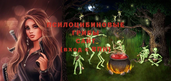 СК Осинники