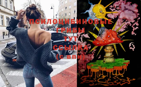 эйфоретик Осташков