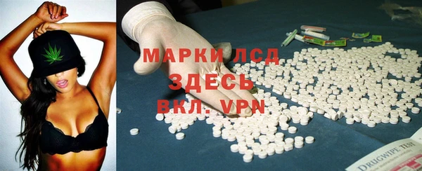 СК Осинники