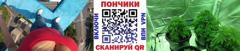Конопля семена  Купить закладки  Руза 